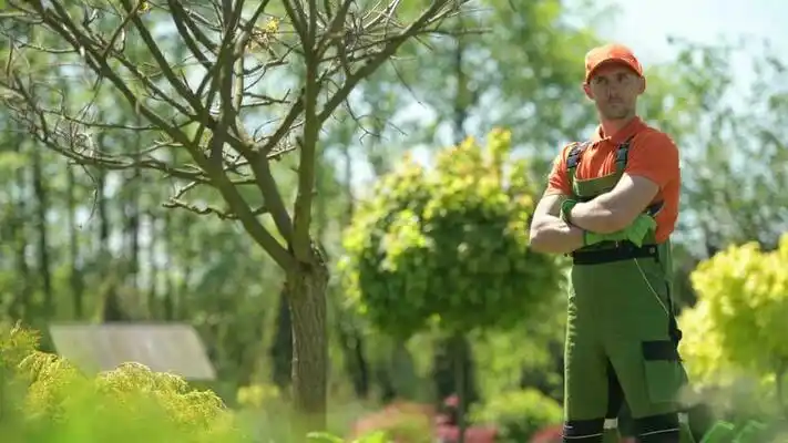 landscaping services United States